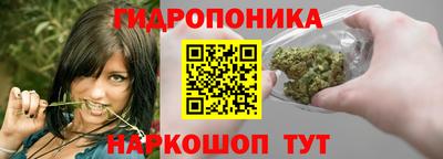 молекула духа Рыбинск
