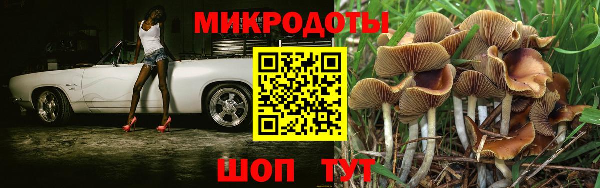 Галлюциногенные грибы Psilocybine cubensis  Вход с VPN  Чебоксары 